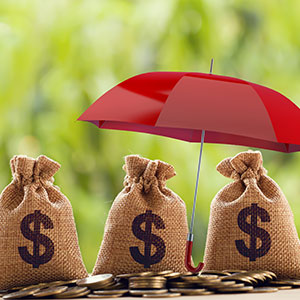 Three bags of money under a red umbrella. Text above the image reads "$$$"